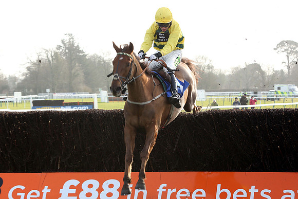 Race2_23rd_Feb_Fontwell5
