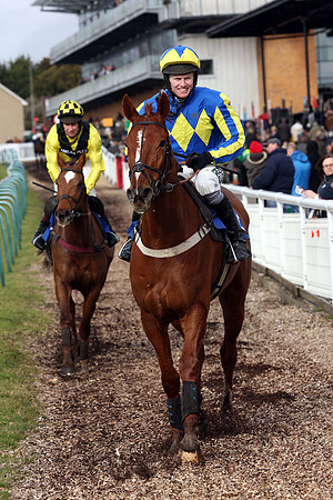 Race1_23rd_Feb_Fontwell8