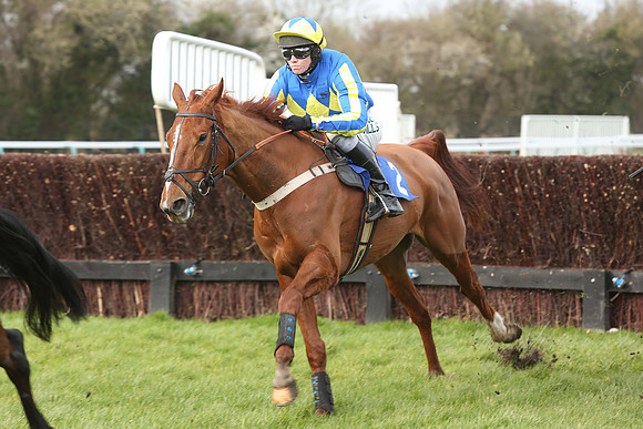 Race1_23rd_Feb_Fontwell2