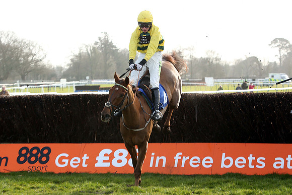 Race2_23rd_Feb_Fontwell6